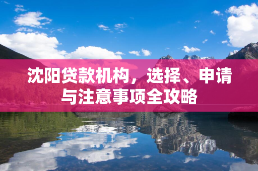  贷款机构，选择、申请与注意事项全攻略