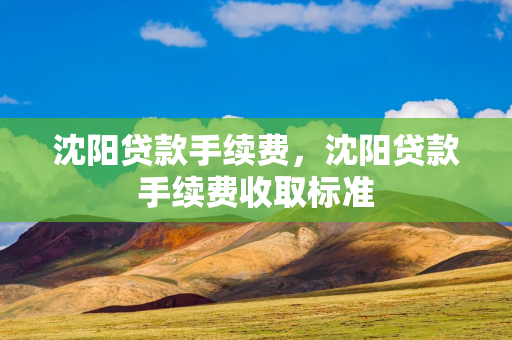 吉林贷款手续费，吉林贷款手续费收取标准